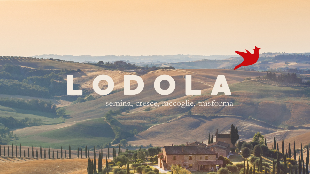 lodola-logo